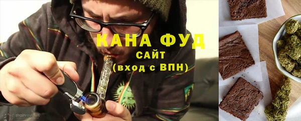 мдпв Гатчина