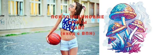 прущие крисы Галич